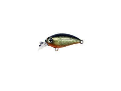 squab diver 30mm floating