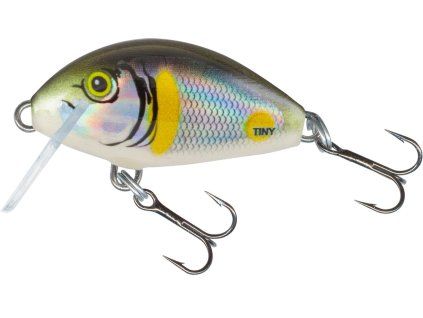 Salmo Wobler Tiny Floating Smelt
