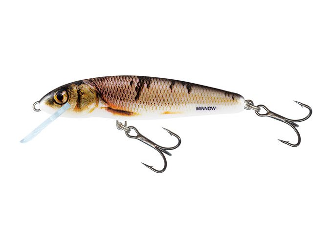 Salmo wobler Minnow Floating Wounded Dace