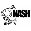 Nash logo