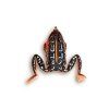 Top Frog Fire Frog 1