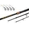 Delphin Prut River Trophy NXT 3m 160g 3+4díl
