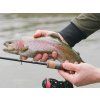 Delphin Prut Troutera HardLure 1,8m 1-5g 2díl