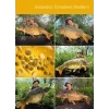 TB Baits Corn - Kompletná zostava 20mm