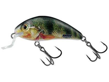 Salmo wobler Rattlin Hornet Shallow Supernatural Perch