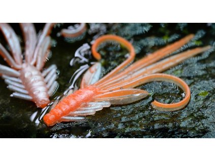 RedBass umelá nástraha Nymfa Orange/Silver UV (Veľkosť návnady 5,3 cm, Hmotnosť nástrahy 0,7g)