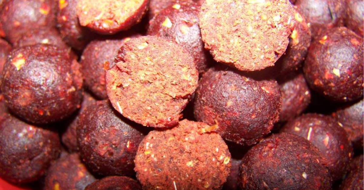 Co je boilies a proč ho rybáři milují?