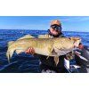 FISHMACHINE Jigová hlava MONSTER FLATHEAD (PLACATKA) 200 až 500gr