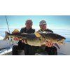 FISHMACHINE Gumová nástraha LONGTAIL MODRÁ 9 až 18cm
