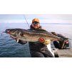 FISHMACHINE soft lure LONGTAIL BLACK 9 to 18cm