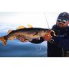 FISHMACHINE soft lure LONGTAIL ORANGE 9 to 18cm