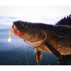 FISHMACHINE soft lure LONGTAIL ORANGE 9 to 18cm