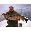 FISHMACHINE soft lure LONGTAIL ORANGE 9 to 18cm