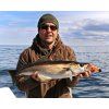 FISHMACHINE soft lure LONGTAIL ORANGE 9 to 18cm