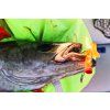 FISHMACHINE jig head FLATHEAD 4 to 100gr