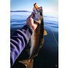 FISHMACHINE jig head FLATHEAD 3 to 100gr