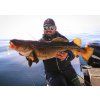 FISHMACHINE jig head FLATHEAD 3 to 100gr