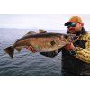 FISHMACHINE jig head FLATHEAD 3 to 100gr