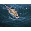 FISHMACHINE jig head RUGBY 3 to 100gr