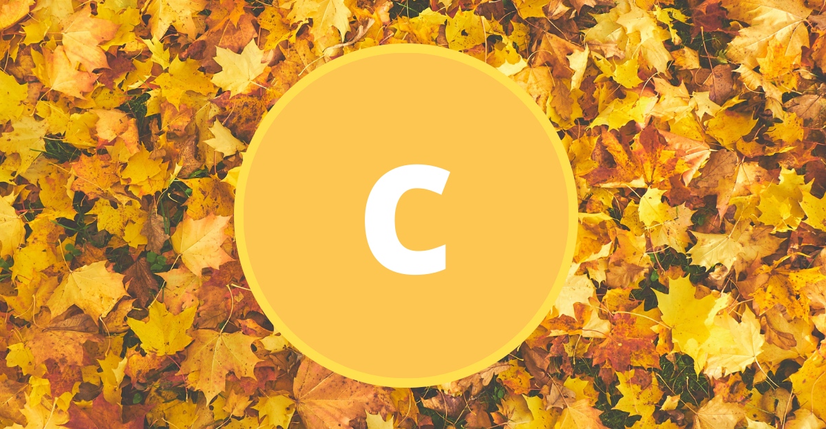 Buď neporazitelný i v chladném období