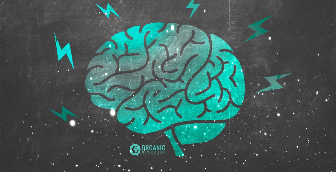 Gaba jako potřebná brzda v mozku