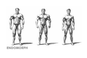 Somatotyp - Endomorf