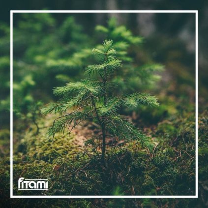 38378d9ced39251e5f45cee115fdc09c