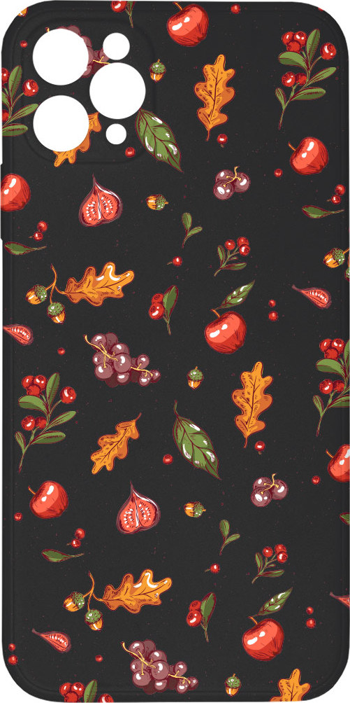 Mi-band Kryt Podzimní nadílka černý pro iPhone 11 Pro Max