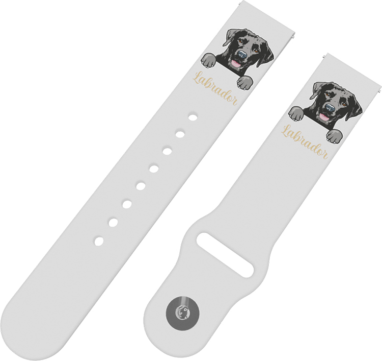 Strapido Labradorský retrívr řemínek 20 mm