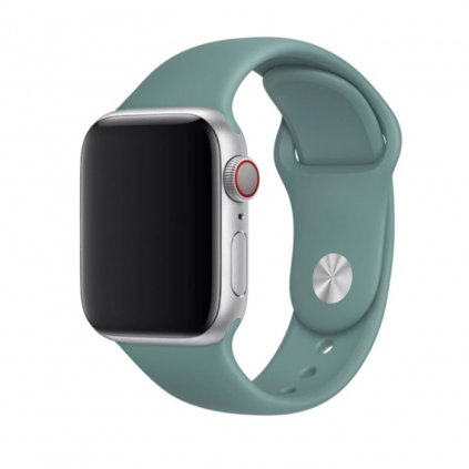 Jednofarebný remienok na Apple Watch - Kaktus