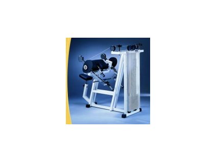 Bicepsy (arm curl) Technogym.