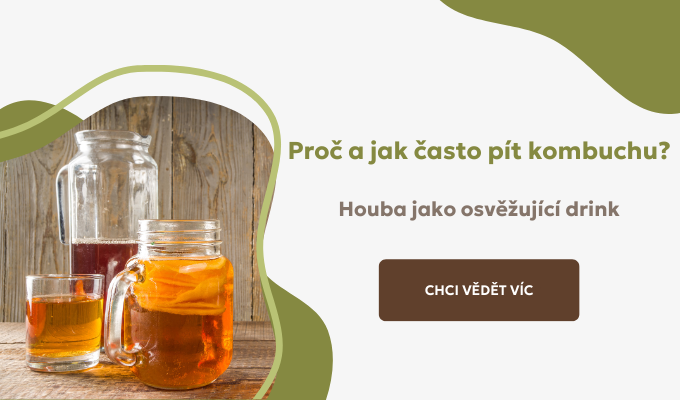 Kombucha: Přírodní zázrak pro očistu těla a denní osvěžení