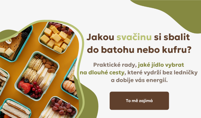 Praktický průvodce: Jak si sbalit zdravé jídlo na výlety