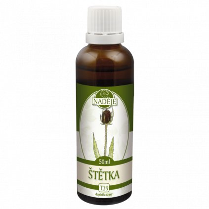 stetka