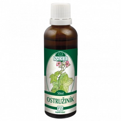 ostruzinik