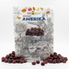 visne lyofilizovane amerika 50g