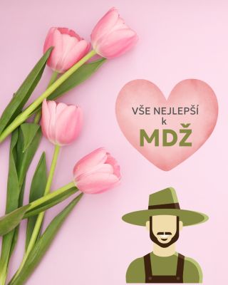 Dnes je den, kdy oslavujeme všechny výjimečné ženy v našem životě. 🌷 Děkujeme, že děláte svět hezčím a barevnějším!...