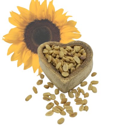 arasidy slnečnice (1)