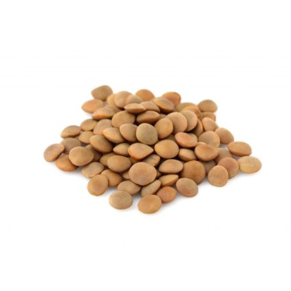 66411 shutterstock 1514731058