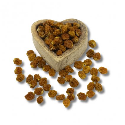 Mochyně Peruánská Physalis