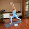 Blue Training Set