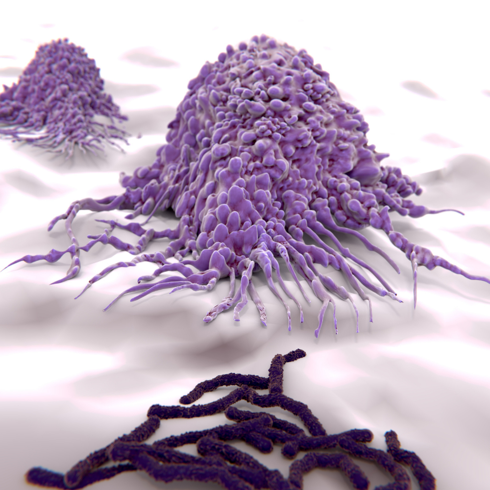 A természet az Ön oldalán áll.