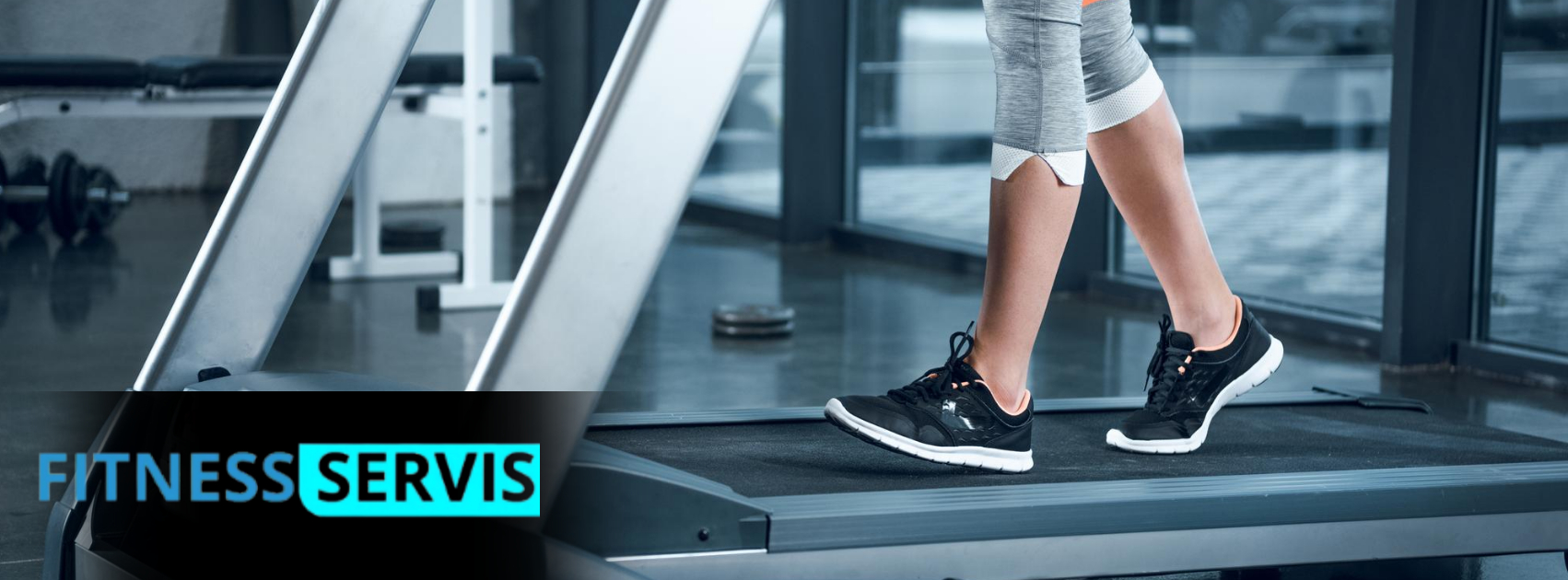 Fitnes servis