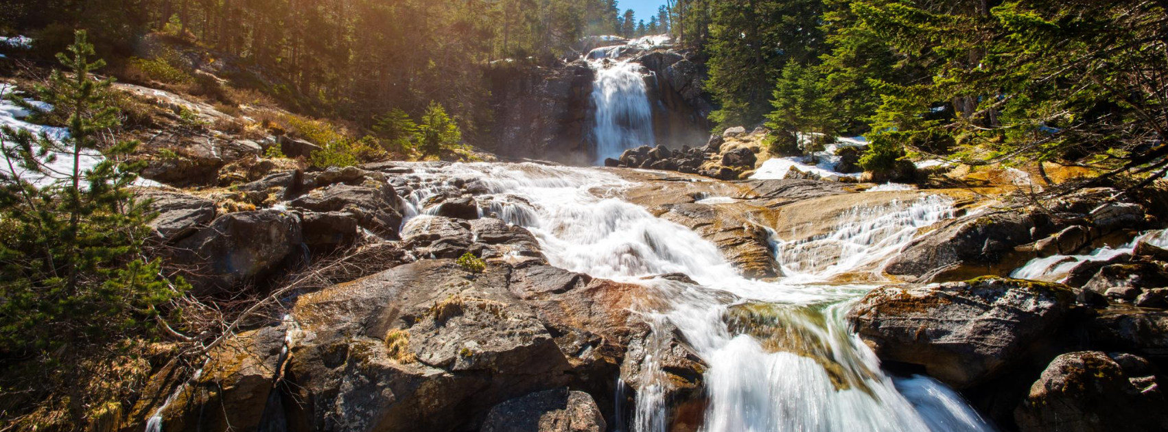 Prawtein – energy and harmony from nature