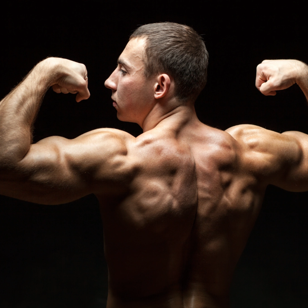 Somatodrol – Přírodní podpora pro růst svalů a síly