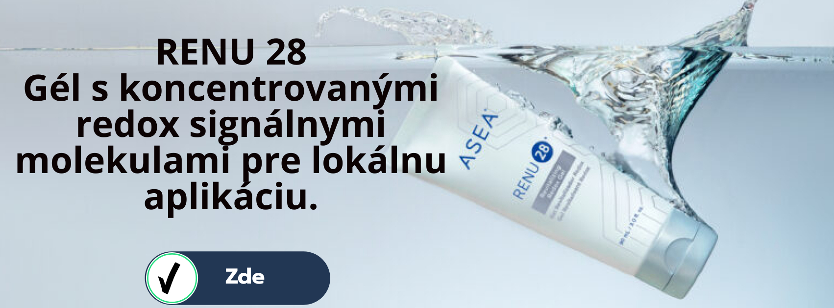 renu28 SK
