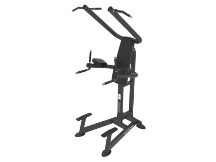 Evolve Dip Pull Up Station