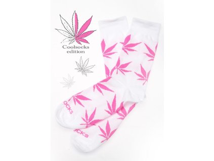 Pink 8655 featured