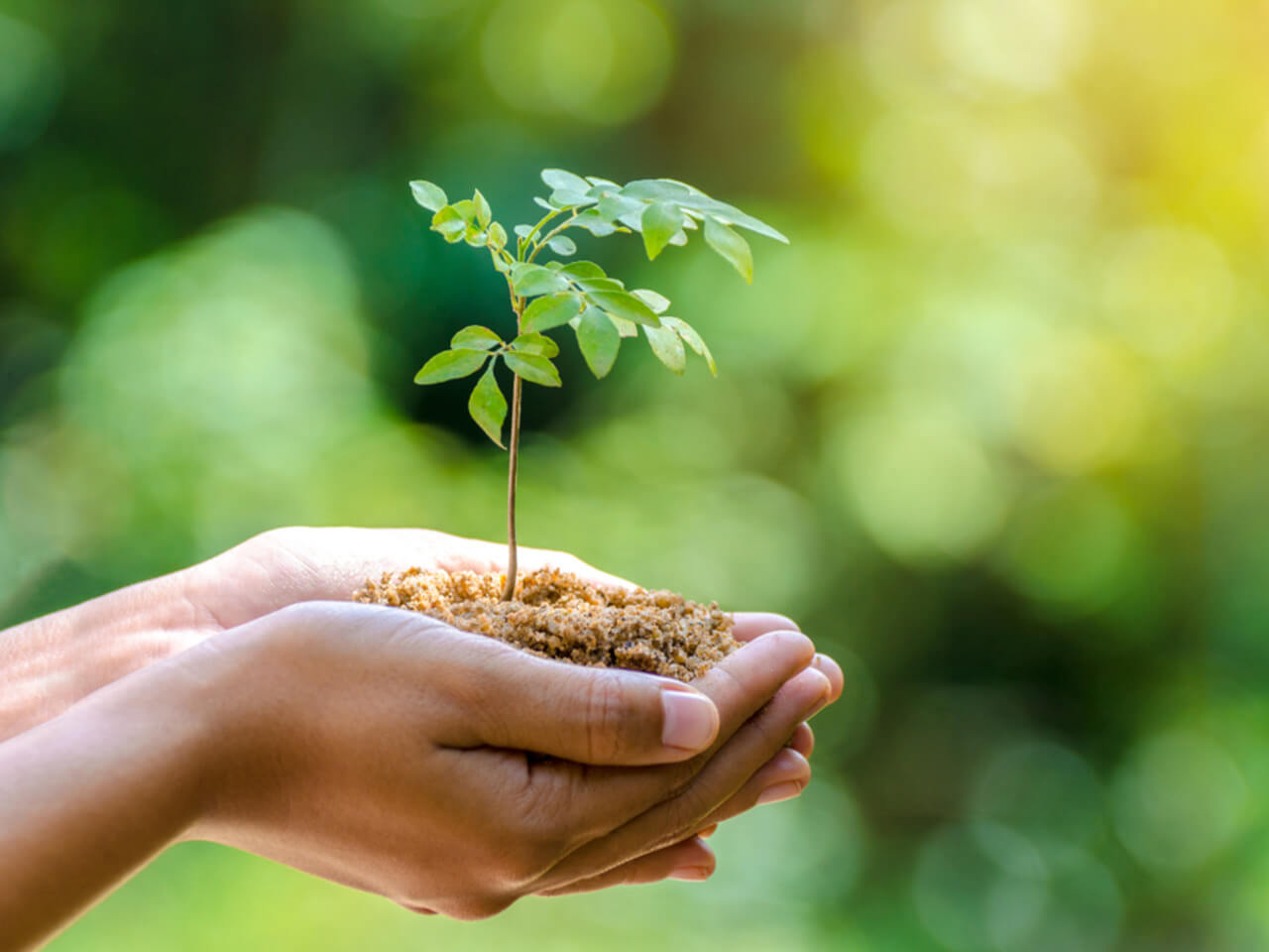 Deň Zeme vo Fit-day: Prečo je výroba rastlinných proteínov šetrnejšie k prírode