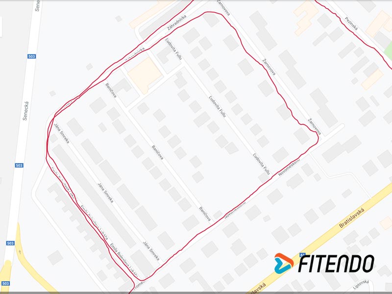 polar-ignite-gps-map-17